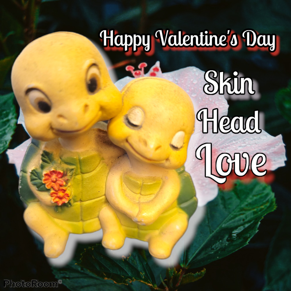 Vtg Skin Head Turtles Love Flowers Shells Figurine Tough Sentimental